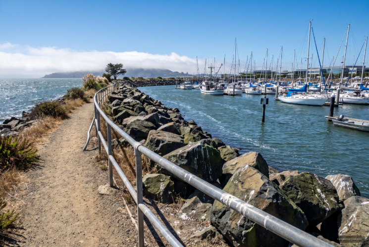 Oyster Point, South San Francisco, CA neighborhood