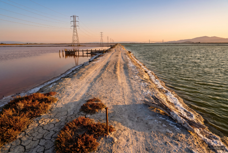 Baylands, Fremont, CA neighborhood