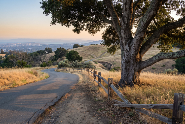 Knowland State Arboretum and Park, Oakland, CA neighborhood