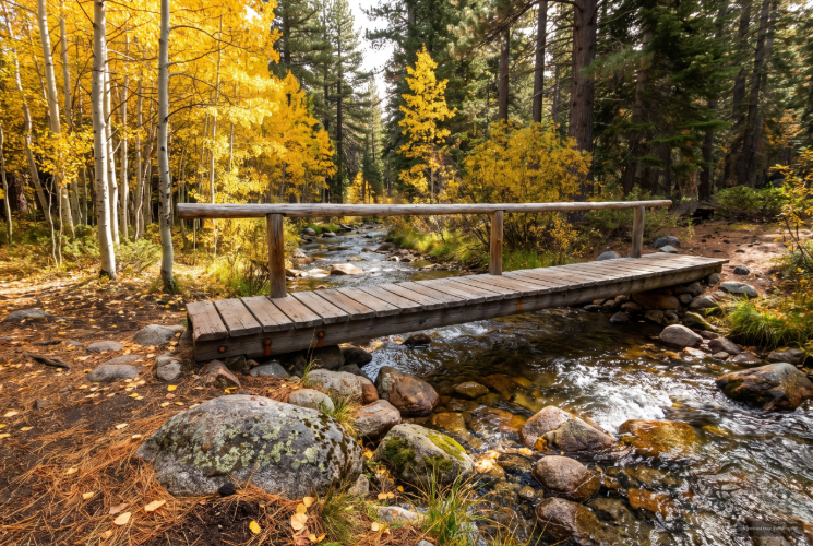 Mill Creek, Incline Village, NV neighborhood